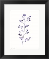 Blue Plant I Fine Art Print