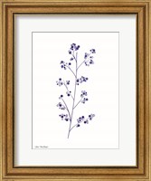 Blue Plant I Fine Art Print