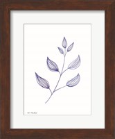 Blue Plant II Fine Art Print