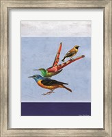 Stacked Birds Fine Art Print