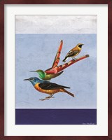 Stacked Birds Fine Art Print