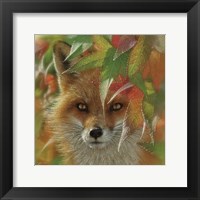 Autumn Red Fox Fine Art Print