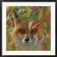 Autumn Red Fox Fine Art Print