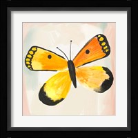 Butterfly IV Framed Print