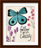 Follow Your Curiosity Fine Art Print