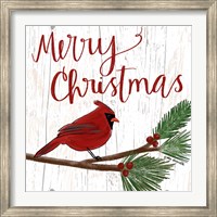 Christmas Cardinal Fine Art Print
