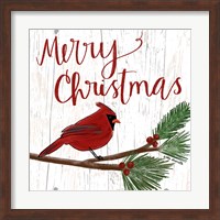 Christmas Cardinal Fine Art Print
