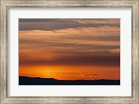 Sunset Flight Fine Art Print