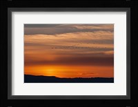Sunset Flight Fine Art Print