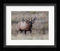 Don't Mess With Me Fine Art Print