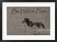 Be Wild & Free Fine Art Print