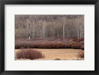 Steens Mountain Meadow Fine Art Print