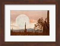 Desert Twilight Fine Art Print