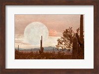 Desert Twilight Fine Art Print
