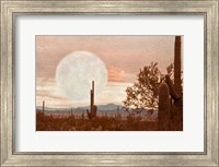 Desert Twilight Fine Art Print