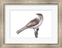 Bird V Fine Art Print