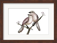 Bird VI Fine Art Print