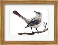 Bird VII Fine Art Print
