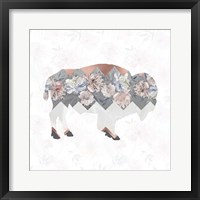 Square Buffalo Framed Print
