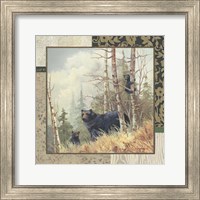 Black Bears with Border Fine Art Print