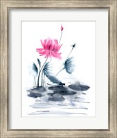 Pink Flower and a Lily Pad Fine Art Print