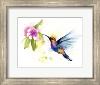 Hummingbird Fine Art Print