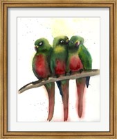 Green Parrots Fine Art Print