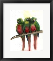 Green Parrots Fine Art Print
