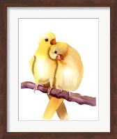 Yellow Parakeets Fine Art Print