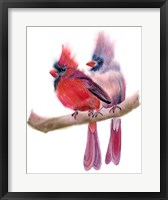Cardinal Couple Fine Art Print