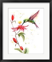 Humming Bird II Fine Art Print