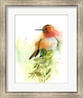 Pretty Bird Fine Art Print