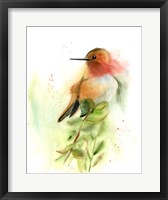 Pretty Bird Fine Art Print