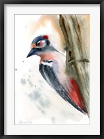 Woodpecker Fine Art Print