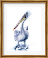 Pelican Blue Fine Art Print