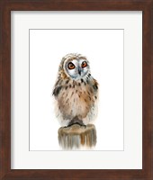 Spotted Owl Fine Art Print