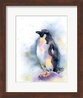 Penguin I Fine Art Print