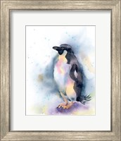 Penguin I Fine Art Print