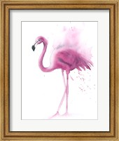 Flamingo V Fine Art Print