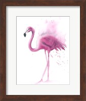 Flamingo V Fine Art Print