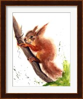Squirrel Fine Art Print