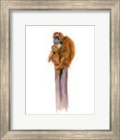 Monkey Fine Art Print