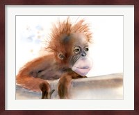 Baby Monkey Fine Art Print