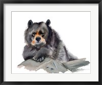 Bear III Fine Art Print
