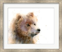 Bear II Fine Art Print