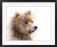 Bear II Fine Art Print