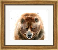 Bear IV Fine Art Print