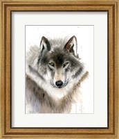 Wolf II Fine Art Print