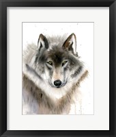 Wolf II Fine Art Print