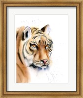 Tiger II Fine Art Print